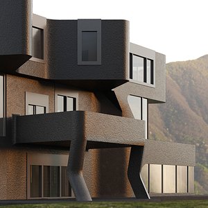 Modern Private House Black