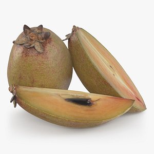 Sapodilla Fruit 3D