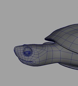 turtle 3d model