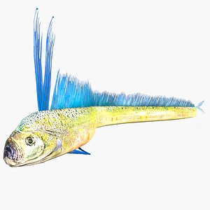 3D model EEL PREHISTORIC ELECTRIC FISH