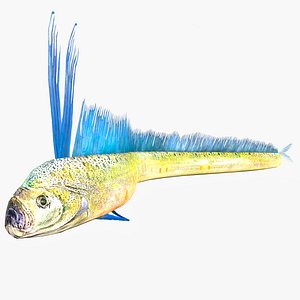 EEL PREHISTORIC ELECTRIC FISH