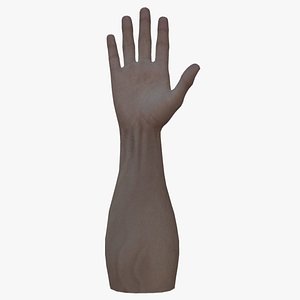 HND-025 Rigged right hand 3D