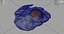 Oeuf frit