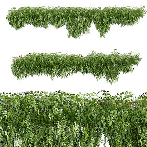 plant vol 866 - Outdoor - creeper - ivy 3D model