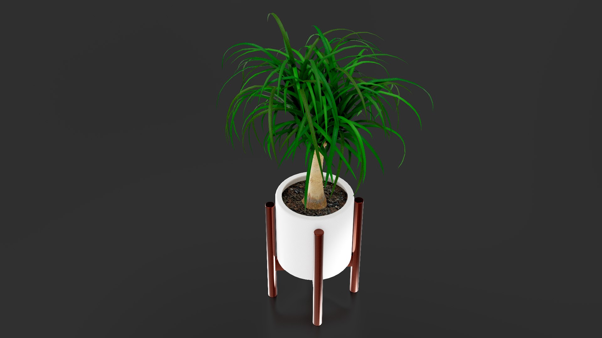 3D Beaucarnea Pot https://p.turbosquid.com/ts-thumb/Nf/ycC6pu/6Y/images02/png/1767790127/1920x1080/fit_q87/2f75deb40cd136b00cb46eb8b8d4df8e7eb46b4e/images02.jpg