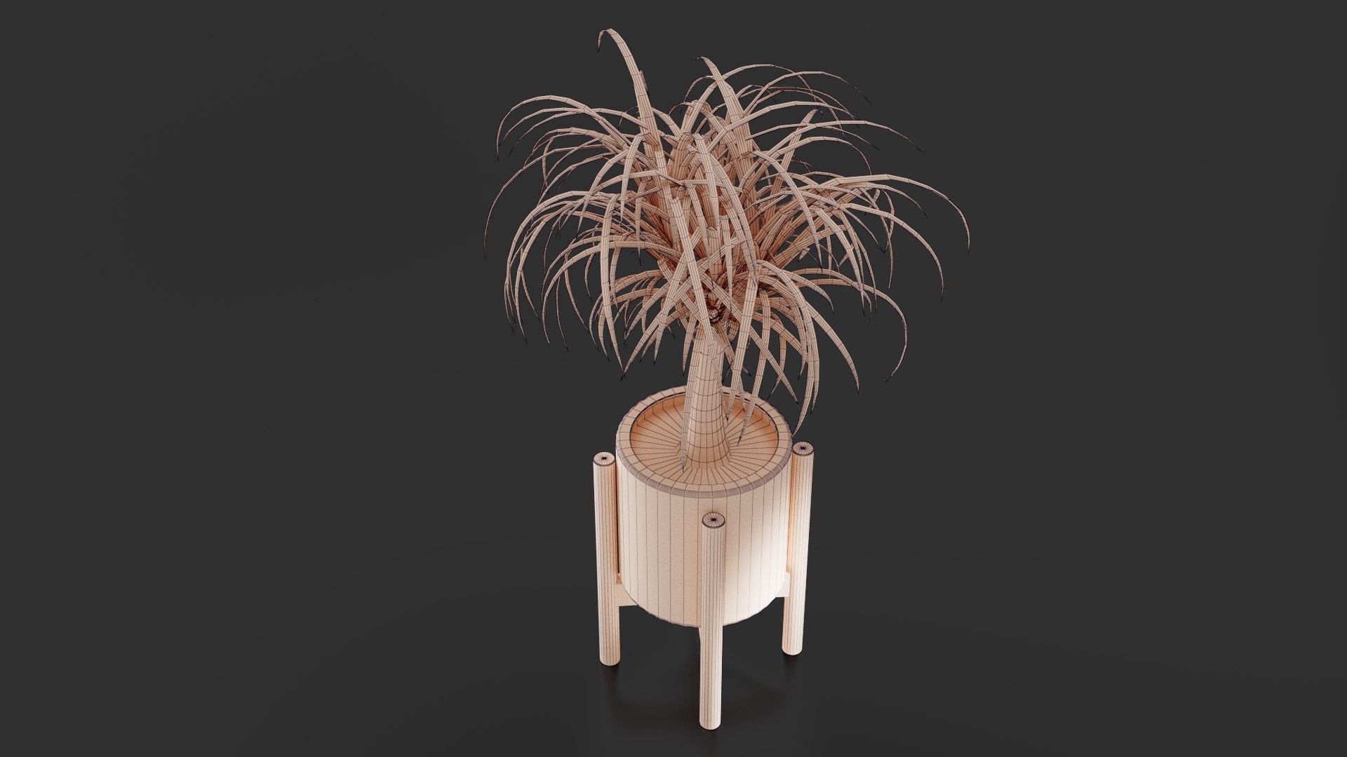 3D Beaucarnea Pot https://p.turbosquid.com/ts-thumb/Nf/ycC6pu/6s/images07/png/1767790129/1920x1080/fit_q87/9cc4ba69e48524954c971f5cffaed95bc9295820/images07.jpg