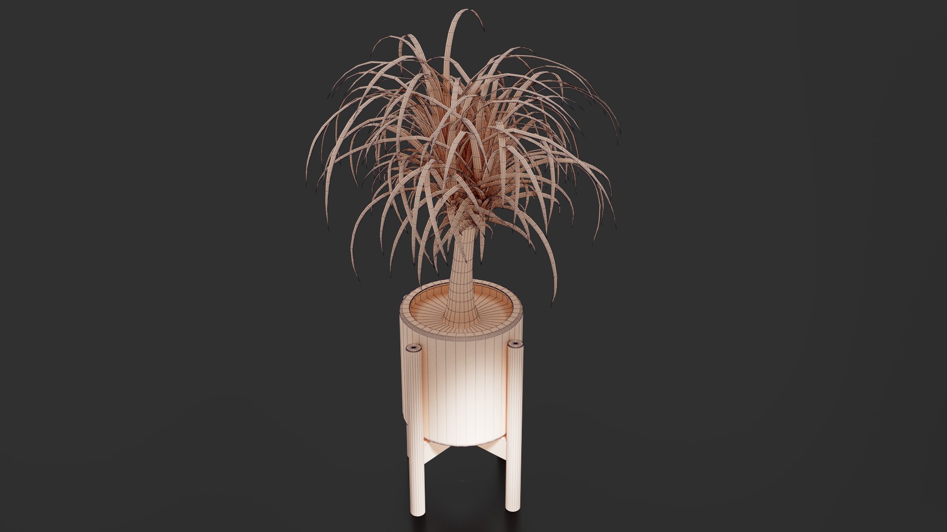 3D Beaucarnea Pot https://p.turbosquid.com/ts-thumb/Nf/ycC6pu/IU/images06/png/1767790129/1920x1080/fit_q87/366718d0e2c97abf603006719d0786e2b2bc3164/images06.jpg