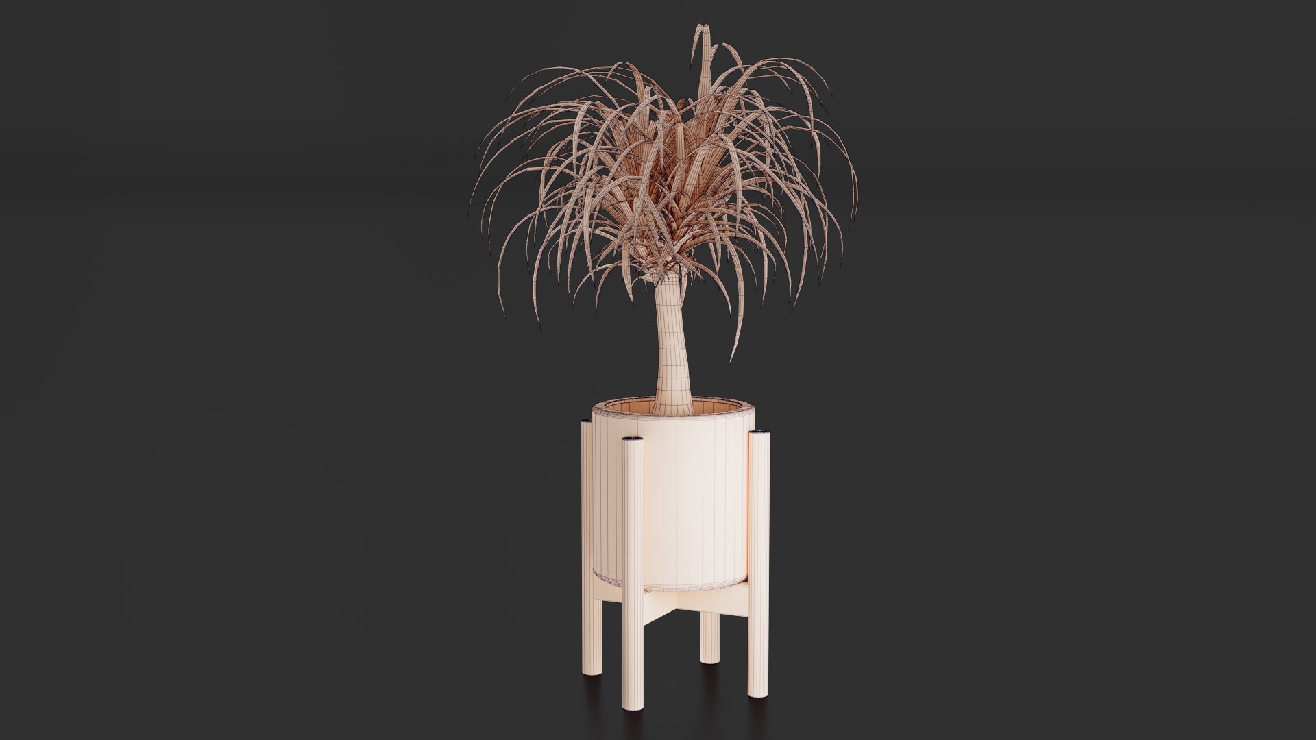 3D Beaucarnea Pot https://p.turbosquid.com/ts-thumb/Nf/ycC6pu/KK/images08/png/1767790130/1920x1080/fit_q87/339eda5ed4f6fd41f07837e806d39ce0da8db984/images08.jpg