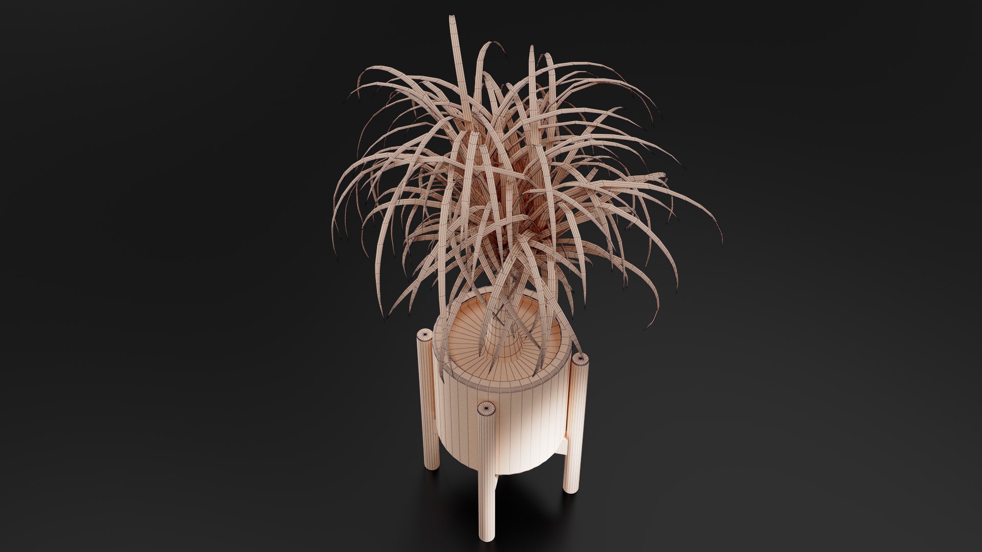 3D Beaucarnea Pot https://p.turbosquid.com/ts-thumb/Nf/ycC6pu/MW/images09/png/1767790130/1920x1080/fit_q87/a18b8762a971bcfc25b505f6ca350860dc904fcf/images09.jpg