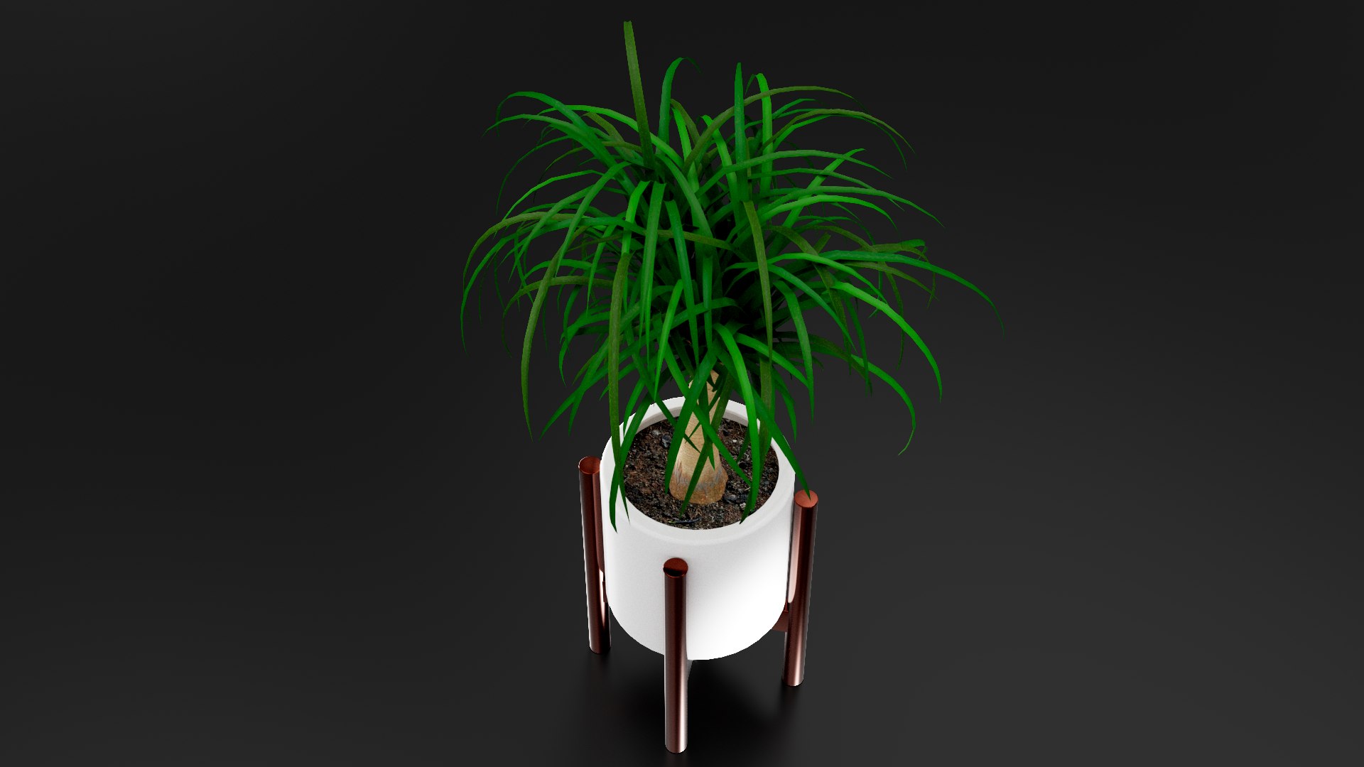 3D Beaucarnea Pot https://p.turbosquid.com/ts-thumb/Nf/ycC6pu/Qh/images04/png/1767790128/1920x1080/fit_q87/a7c7cd339dfbe4cb54a31dfd3757cffe4a68f8b8/images04.jpg