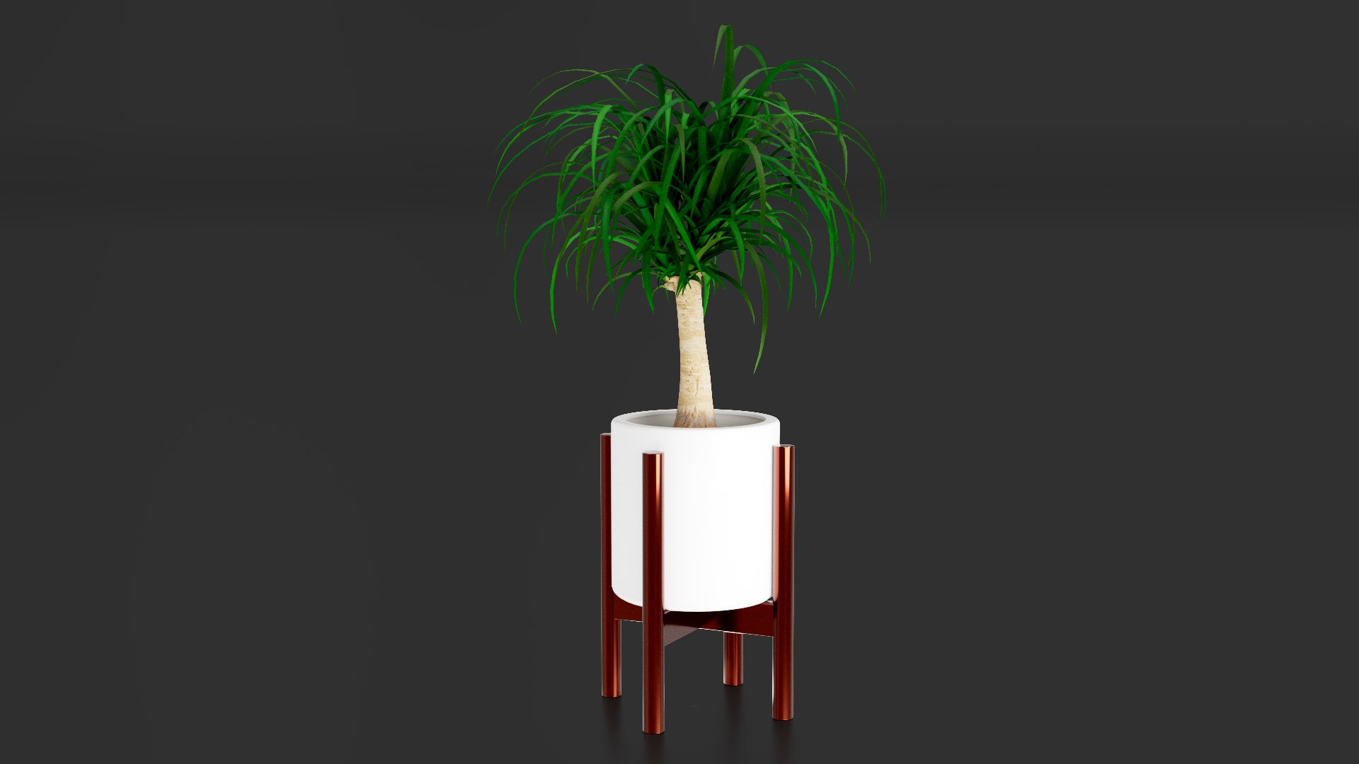 3D Beaucarnea Pot https://p.turbosquid.com/ts-thumb/Nf/ycC6pu/av/images03/png/1767790127/1920x1080/fit_q87/9ecfb7feb25cd705a47c2daac6fc800dd0991e35/images03.jpg