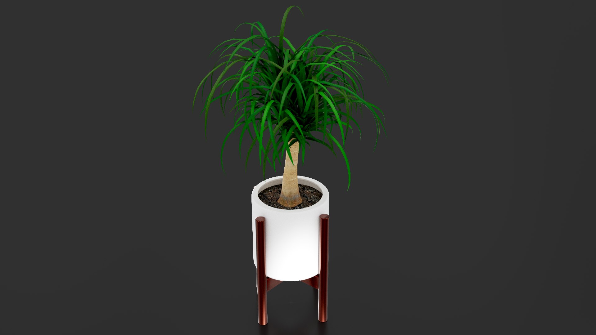3D Beaucarnea Pot https://p.turbosquid.com/ts-thumb/Nf/ycC6pu/so/images01/png/1767790126/1920x1080/fit_q87/31828feb265a18e797fbc3556e580de2e318f310/images01.jpg