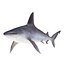 Sharks Rigged Collection 7 for Maya