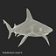 Sharks Rigged Collection 7 for Maya