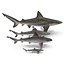 Sharks Rigged Collection 7 for Maya