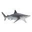 Sharks Rigged Collection 7 for Maya