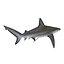 Sharks Rigged Collection 7 for Maya