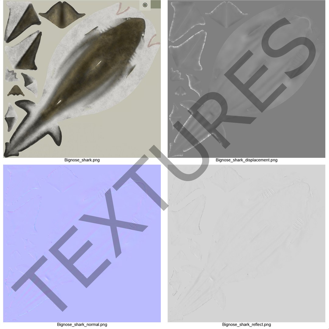 3D sharks rigged 7 https://p.turbosquid.com/ts-thumb/Ng/3NEQgT/RUdSwJ9b/sharkscollectionfbx3dmodels46/jpg/1465111296/1920x1080/fit_q87/19b2d4144321d506deeb892d4b787a0563eb5c66/sharkscollectionfbx3dmodels46.jpg