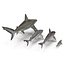Sharks Rigged Collection 7 for Maya