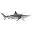 Sharks Rigged Collection 7 for Maya