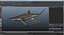 Sharks Rigged Collection 7 for Maya