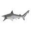Sharks Rigged Collection 7 for Maya
