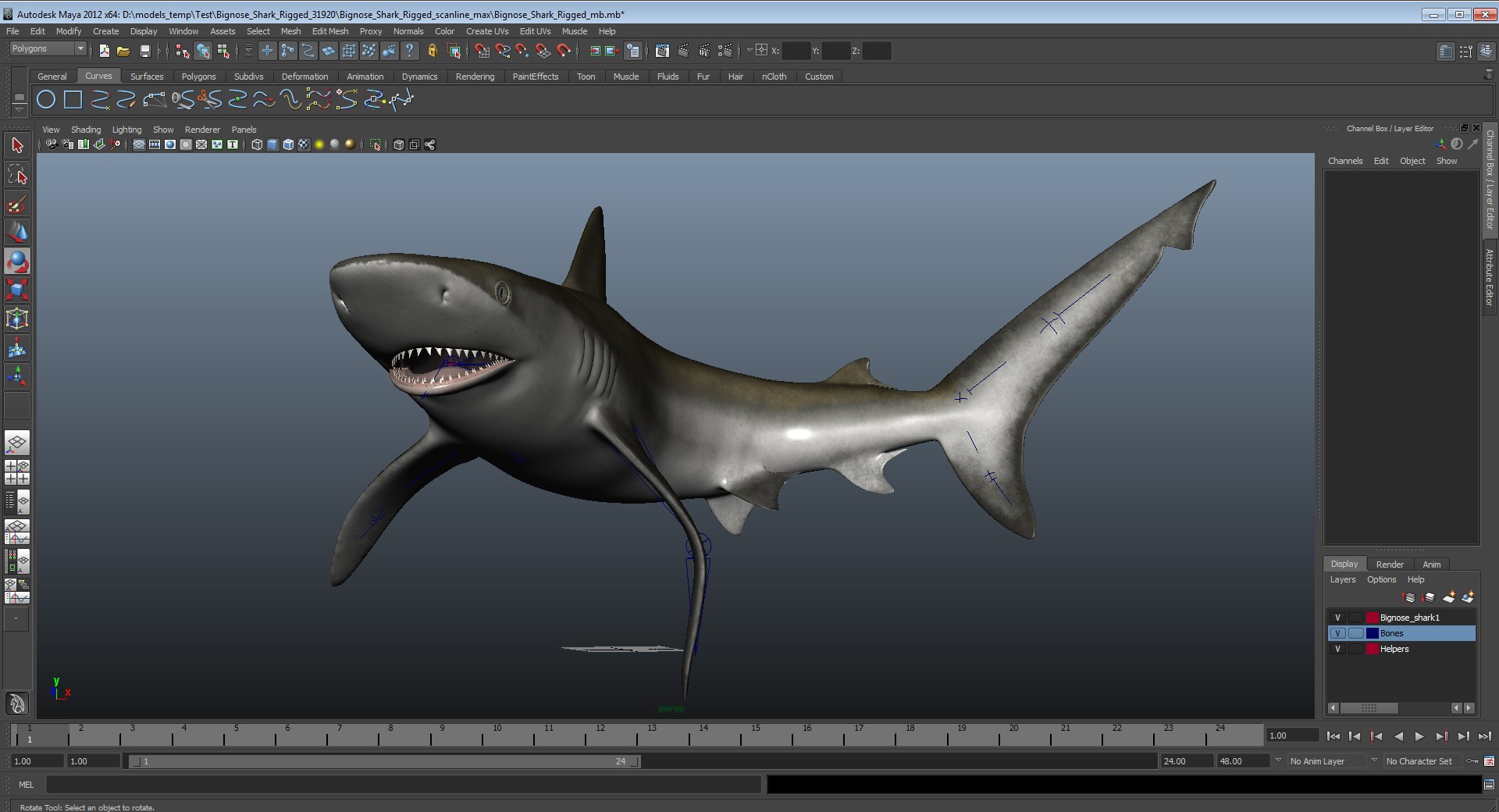 3D sharks rigged 7 https://p.turbosquid.com/ts-thumb/Ng/3NEQgT/aZI1taIg/bignosesharkriggedmaya3dmodel29/jpg/1582532423/1920x1080/fit_q87/52b9a7cc9694c7eb1f935716d463f8364539f3aa/bignosesharkriggedmaya3dmodel29.jpg