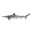 Sharks Rigged Collection 7 for Maya