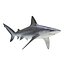Sharks Rigged Collection 7 for Maya