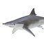 Sharks Rigged Collection 7 for Maya
