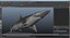 Sharks Rigged Collection 7 for Maya