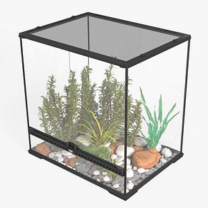 Big Terrarium with Plants and Green Lizard