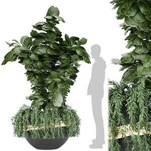 3D Collection plant vol 30 - -fiddle