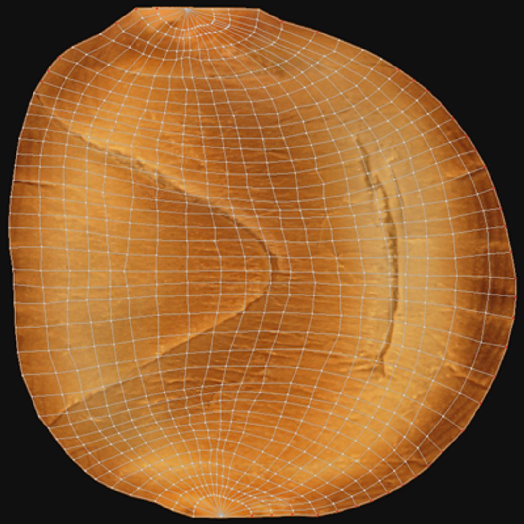 3d Crescent Roll Model