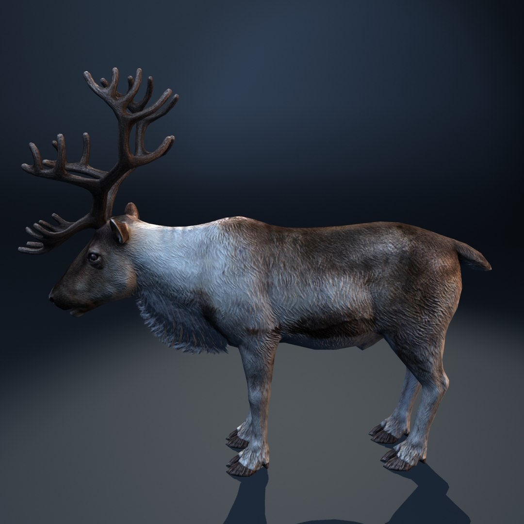 Max Reindeer Animation Christmas