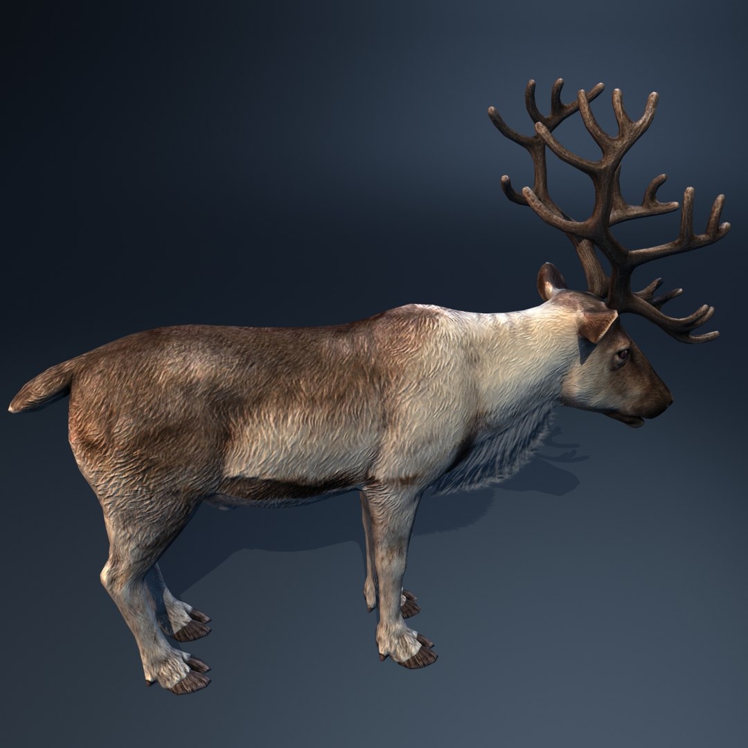 Max Reindeer Animation Christmas