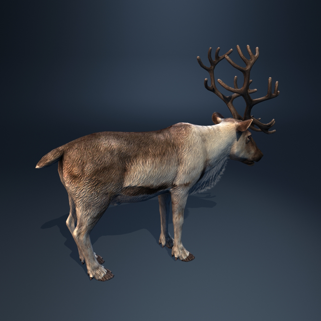 Max Reindeer Animation Christmas