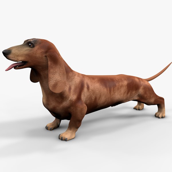 Dachshund Rigged L1805 model