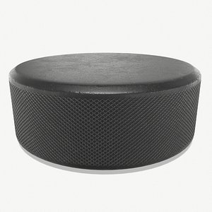 Hockey Puck