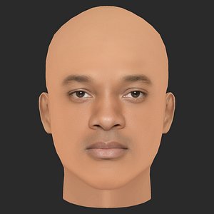 Low Poly Will Smith Head model