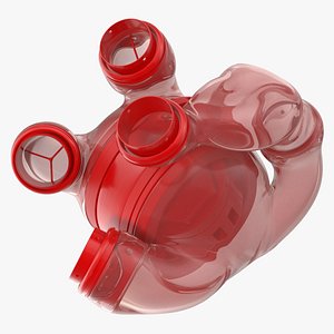 Glass Futuristic Heart Concept 3D model