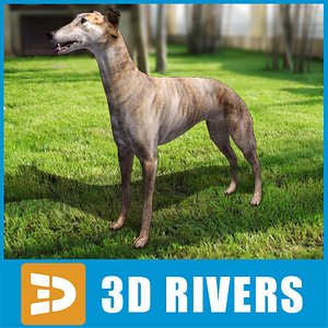 3ds max greyhound dogs