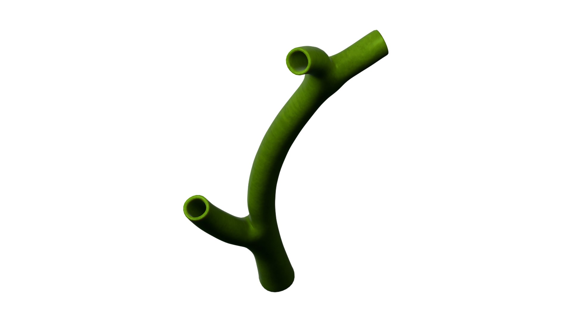 3D Gallbladder Agenesis Biliary Tree Anatomy - TurboSquid 2636974