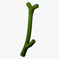 Gallbladder Agenesis Biliary Tree Anatomy