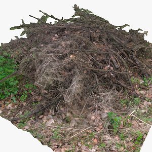 3D Larch tree branch pile heap in forest ground soil
