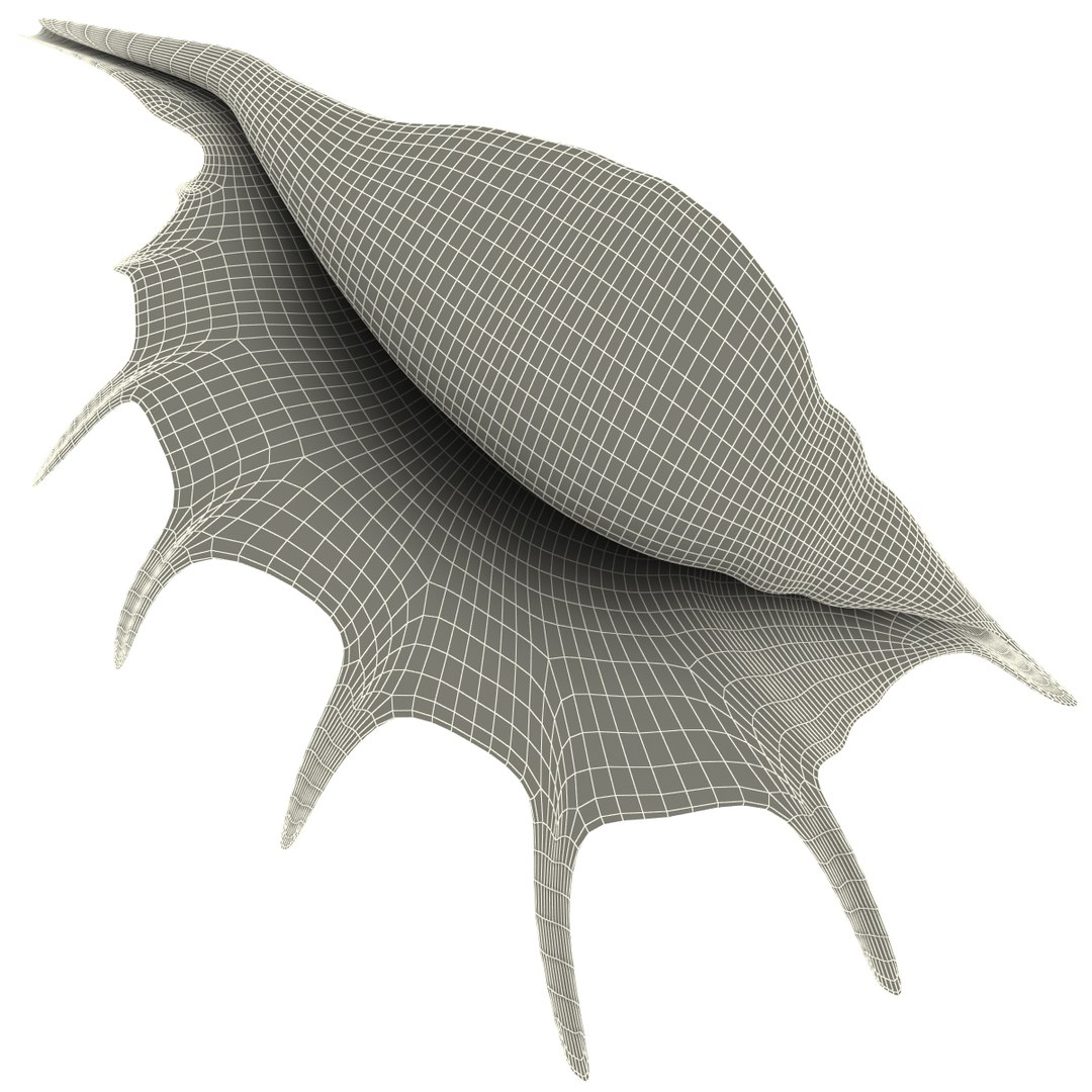 seashell lambis 3d max https://p.turbosquid.com/ts-thumb/Nh/FrXhis/t1XenrjW/seashell_lambis_lambis_09/jpg/1270307922/1920x1080/fit_q87/daf142bb8b7f2a5747cd1fd6fa50ed9079cfe94b/seashell_lambis_lambis_09.jpg
