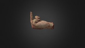 3D Ash Hand model