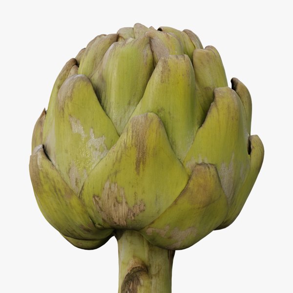 Artichoke 3D Models for Download | TurboSquid