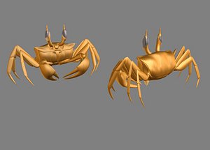 3d ghost crab