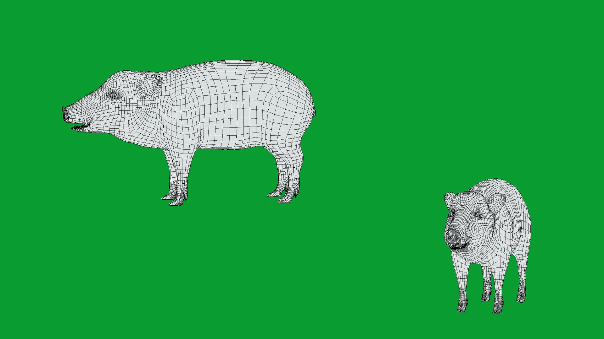 Chacoan Peccary Pig 3D model https://p.turbosquid.com/ts-thumb/Nh/UGSEVp/Gj/wire/png/1783477438/1920x1080/fit_q87/7f21c49c34657dd929e9306bf42bb645c9290736/wire.jpg